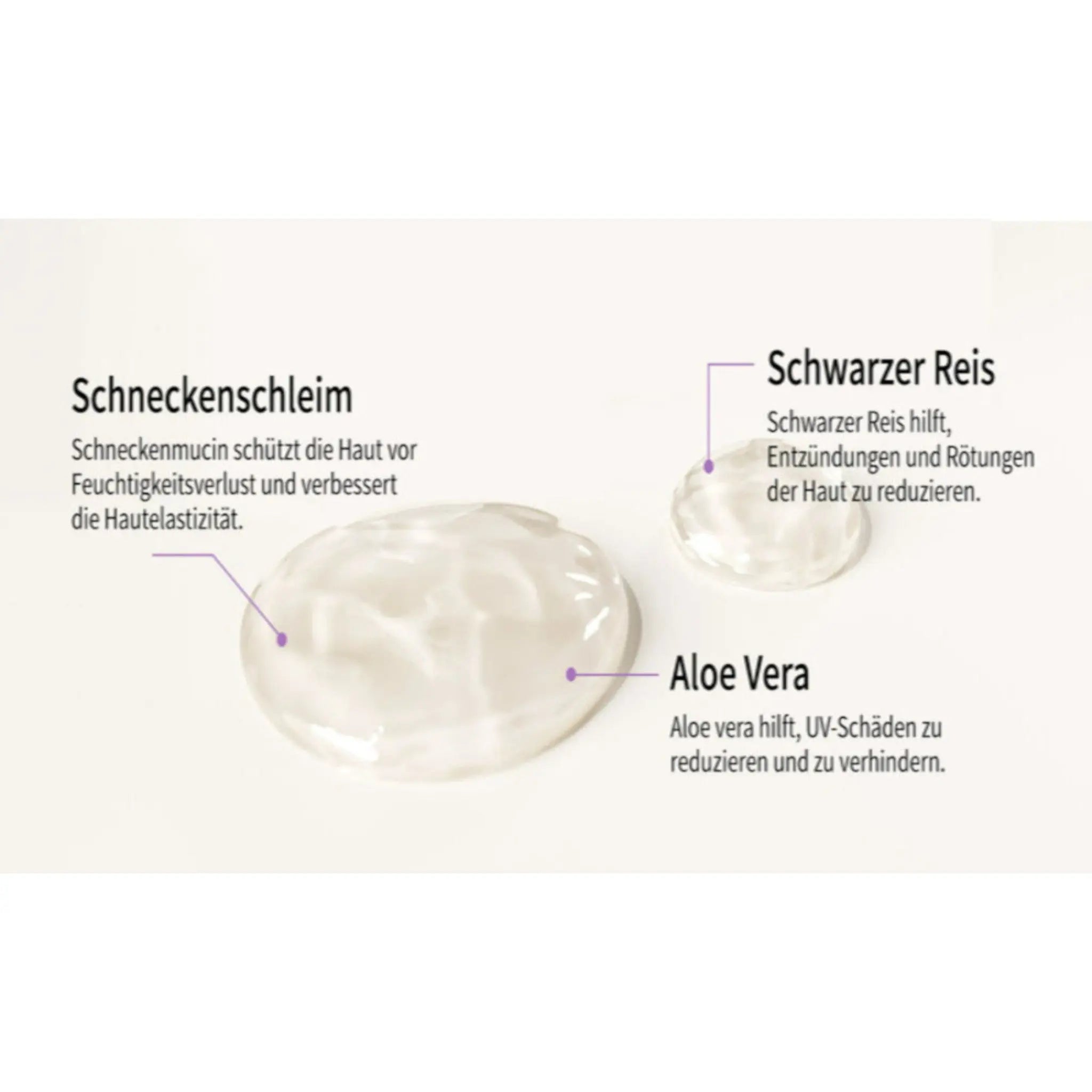 COXIR | Black Snail Starter Kit - PurMii