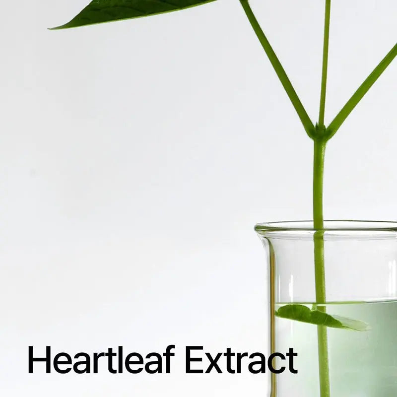 Anua | Heartleaf Pore Control Cleansing Oil - 200ml - PurMii