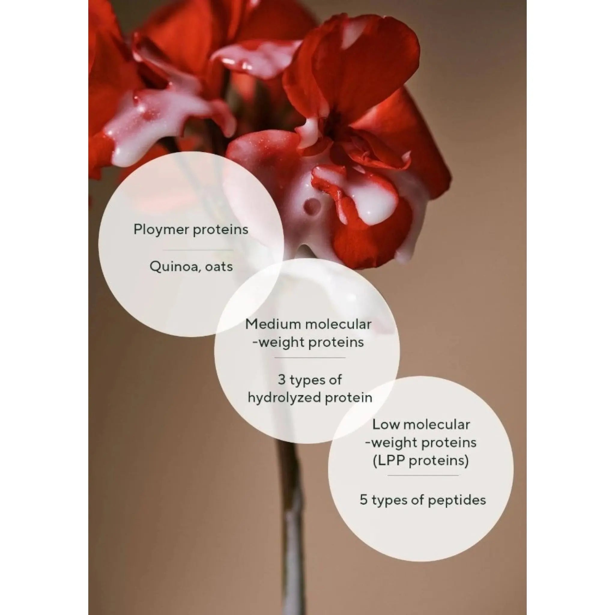 AROMATICA | Quinoa Protein Hair Ampoule - 100ml - PurMii
