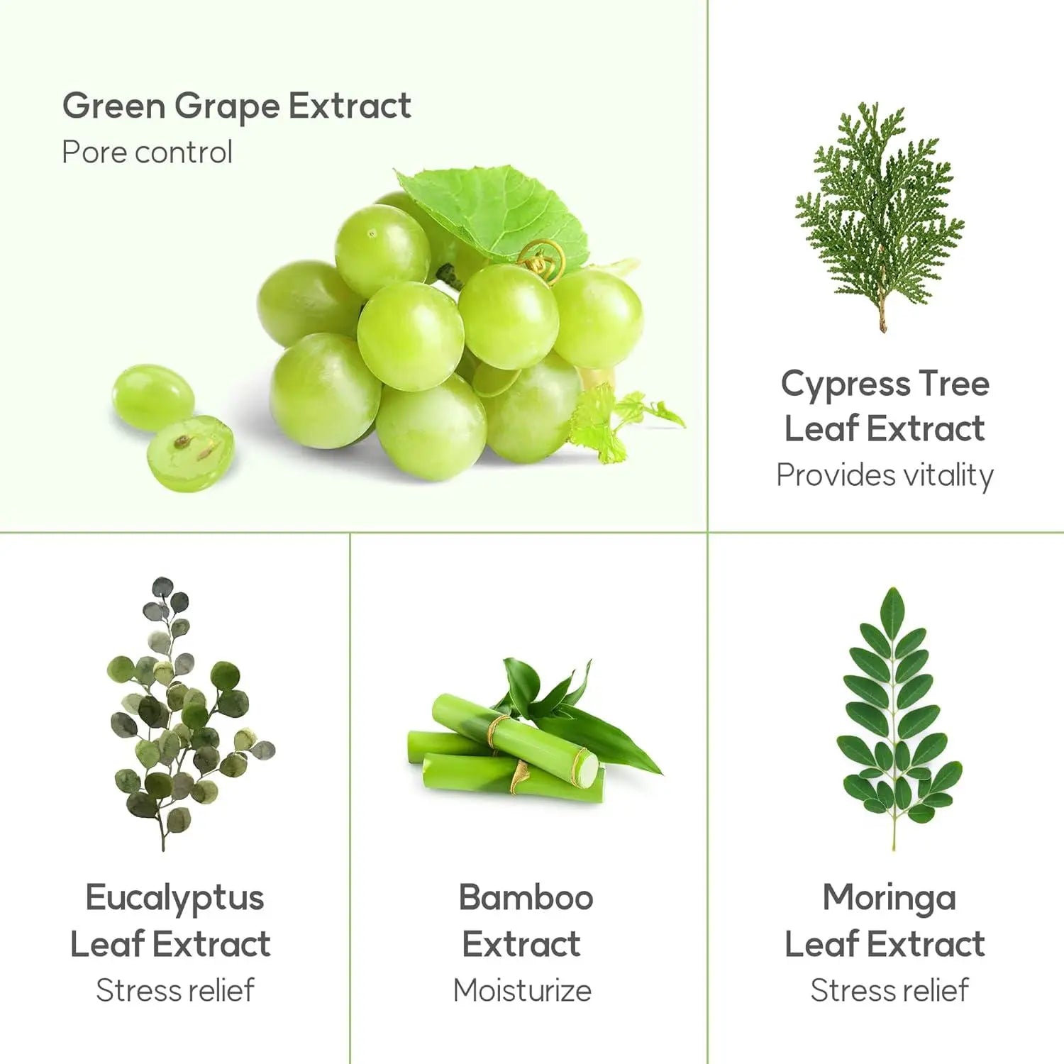 FRUDIA | Green Grape Pore Control Scrub Cleansing Foam - 145ml - PurMii